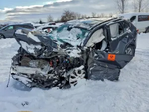 Toyota Rav4 2.5L 4 2024