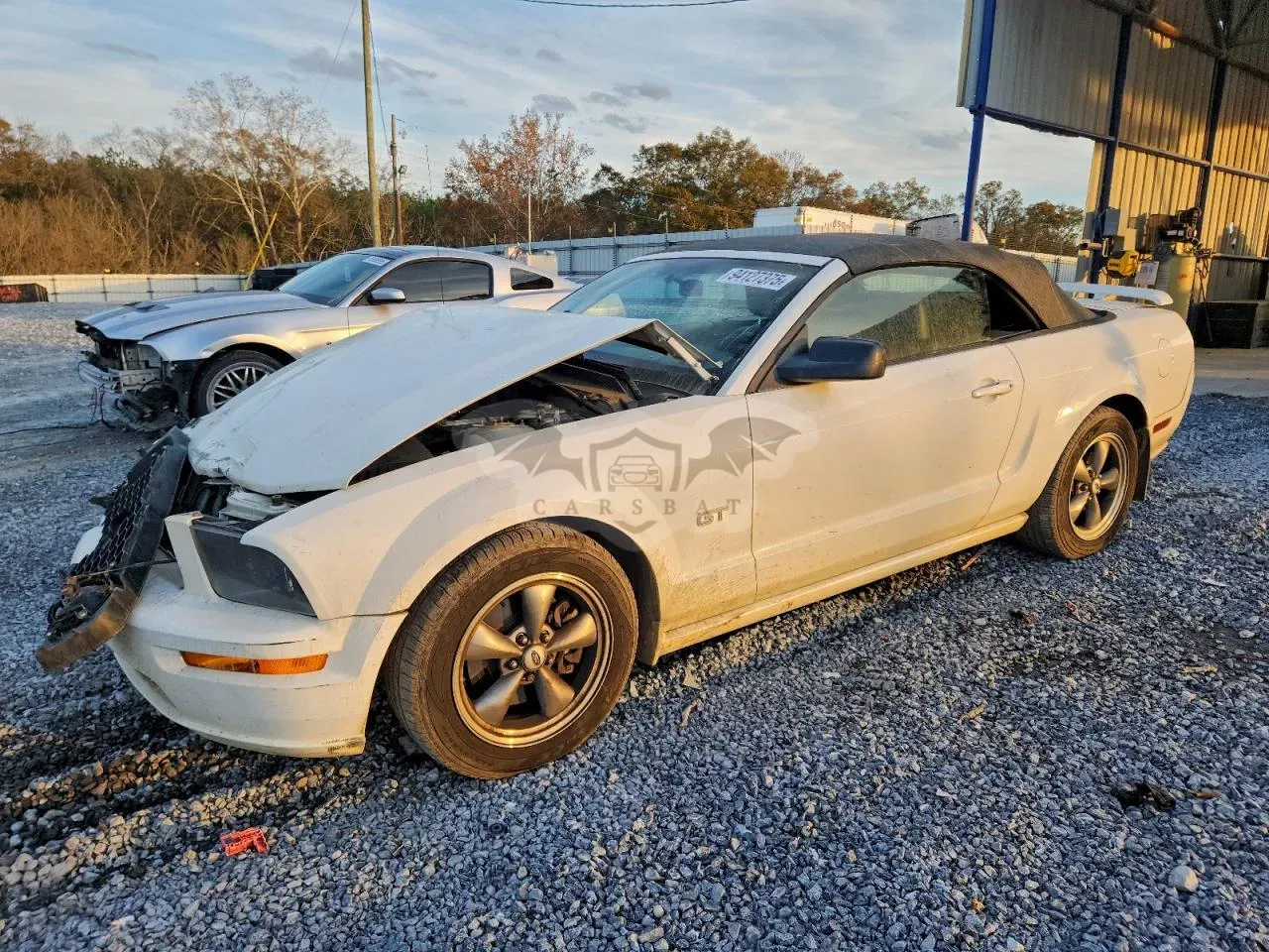 Ford Mustang 4.6L 8 2006