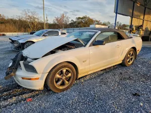 Ford Mustang 4.6L 8 2006