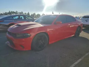 Dodge Charger SCAT PACK 6.4L 8 2019