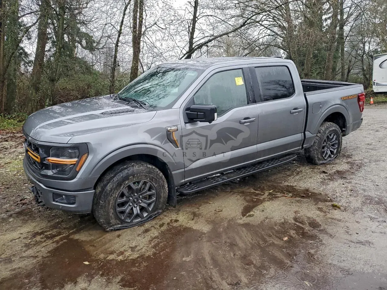 Ford F-150 TREMOR 3.5L 6 2024