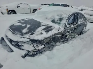 Honda Civic 2.0L 4 2025