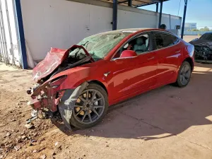 Tesla Model 3 2019