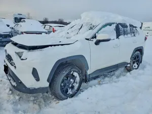 Toyota Rav4 2.5L 4 2024