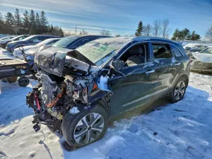 Kia Niro EX PREMIUM 2020