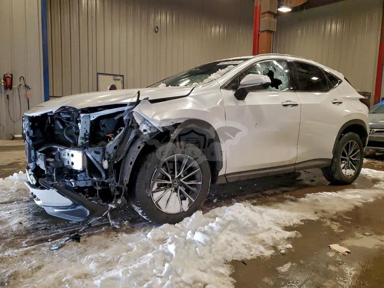 Lexus NX 350H BASE 2.5L 4 2024