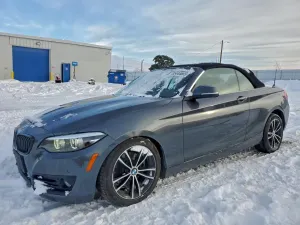 BMW 2 Series 2.0L 4 2020