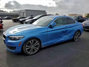 BMW 2 Series 2.0L 4 2018
