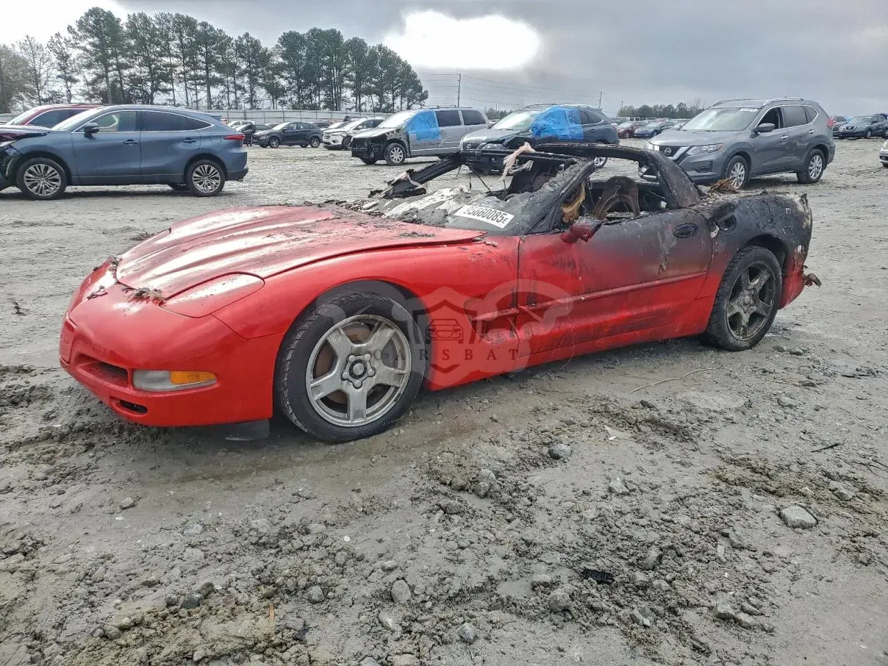Chevrolet Corvette 5.7L 8 1998