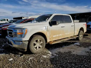 Ford F-150 SUPERCREW 3.5L 6 2021