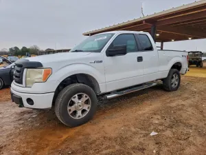 Ford F-150 4.6L 8 2009