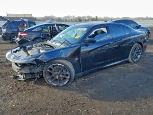 Dodge Charger SCAT PACK 6.4L 8 2021