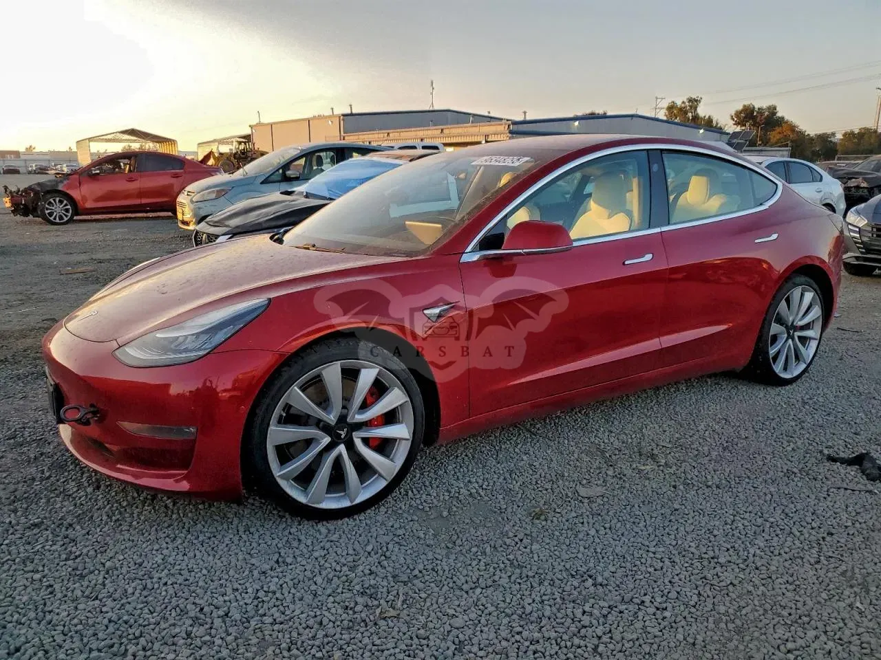 Tesla Model 3 2019