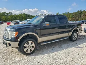 Ford F-150 SUPERCREW 5.4L 8 2010