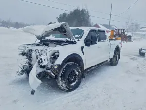 Ford F-150 XLT 5.0L 8 2024