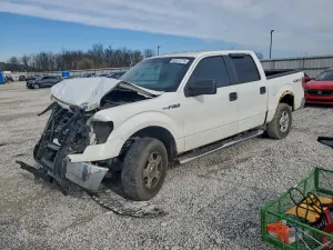 Ford F-150 SUPERCREW 4.6L 8 2010