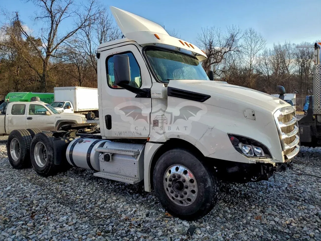 Freightliner Cascadia 12.8L 6 2019