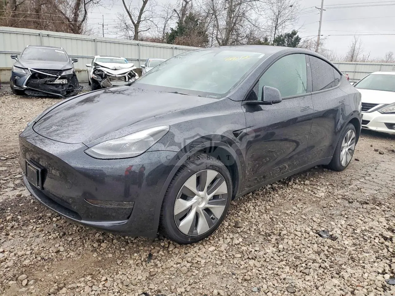 Tesla Model Y 2024