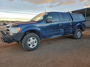Ford F-150 SUPERCREW 5.0L 8 2013