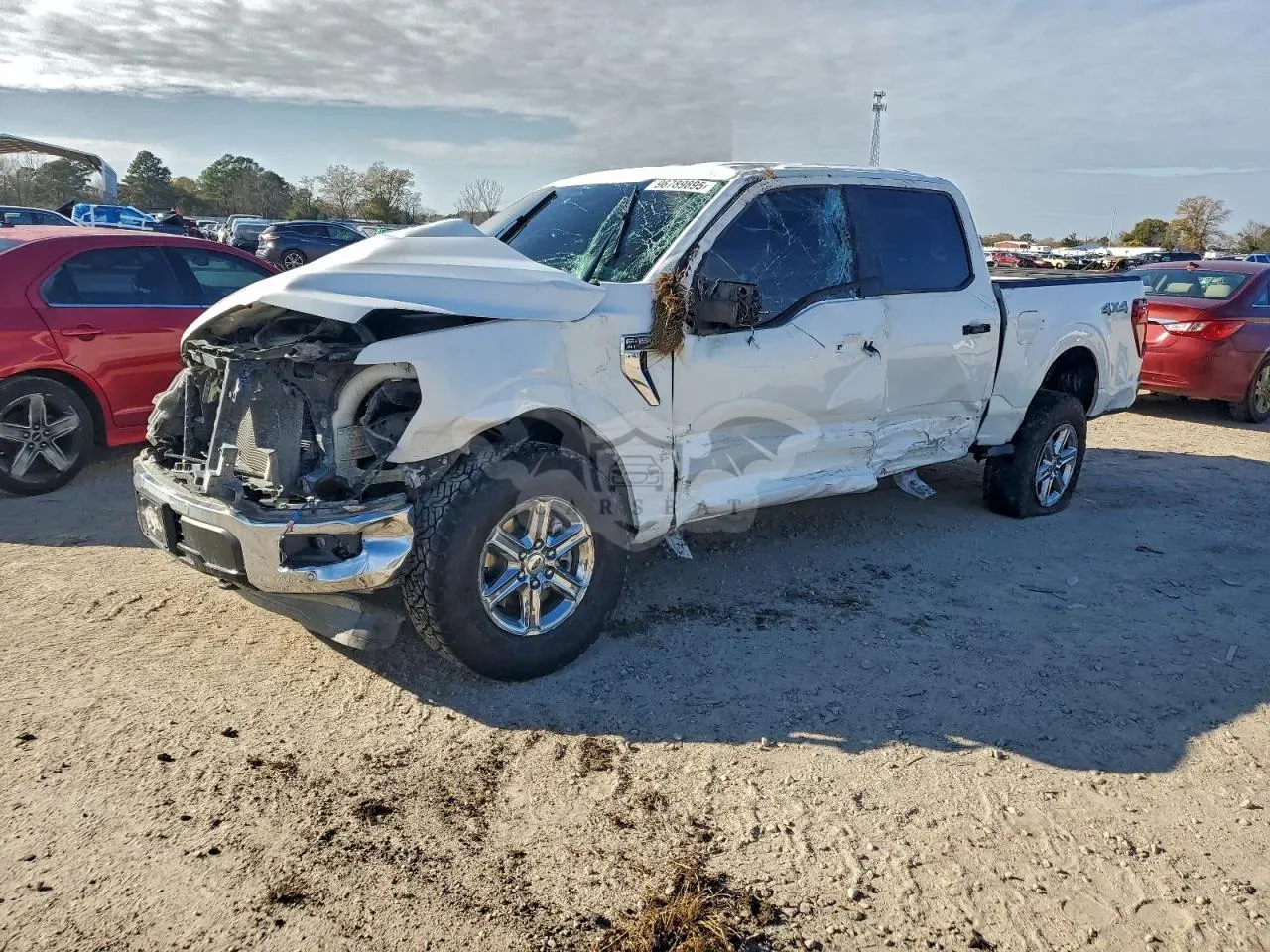 Ford F-150 XLT 5.0L 8 2025