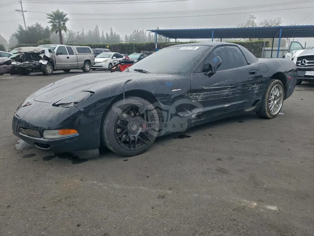 Chevrolet Corvette Z06 5.7L 8 2001
