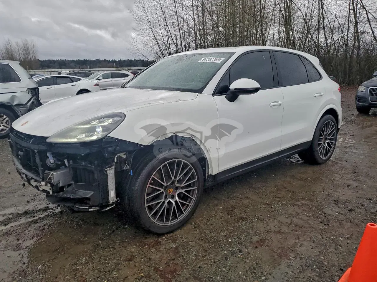 Porsche Cayenne 3.0L 6 2021