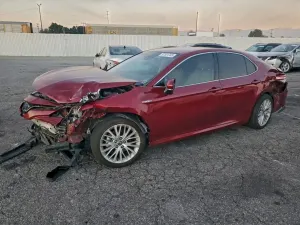 Toyota Camry XLE 2.5L 4 2020