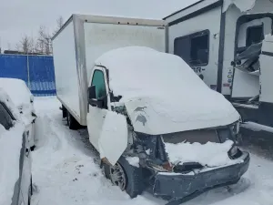 Chevrolet Express 6.6L 8 2021
