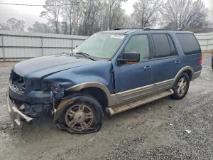 Ford Expedition EDDIE BAUER 5.4L 8 2004