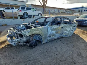 Dodge Charger 6.4L 8 2019
