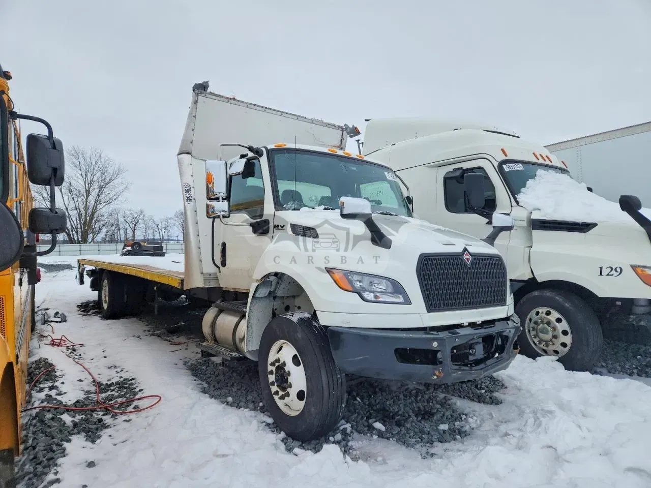 International MV Series 8.9L 6 2024
