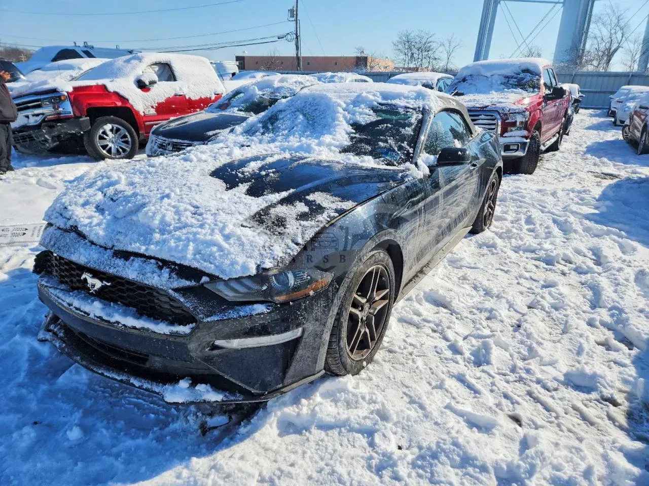 Ford Mustang 2.3L 4 2019