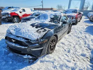 Ford Mustang 2.3L 4 2019