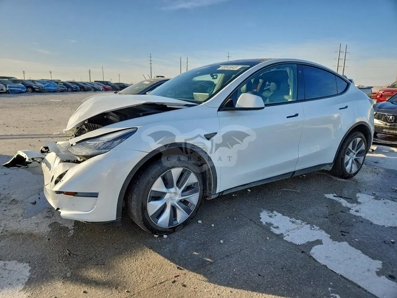 Tesla Model Y 2023