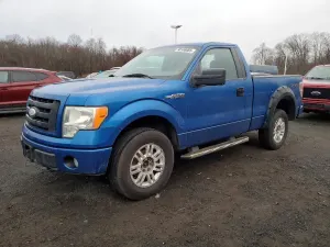 Ford F-150 4.6L 8 2009