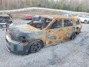 Hyundai Santa Fe 2.5L 4 2025