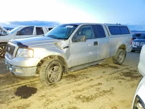 Ford F-150 5.4L 8 2005