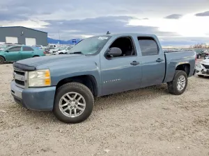 Chevrolet Silverado 1500 K1500 4.8L 8 2009