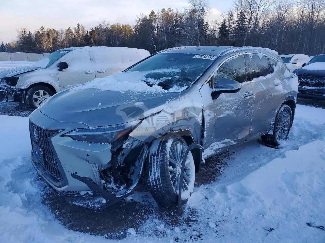 Lexus NX 350H BASE 2.5L 4 2024
