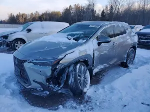 Lexus NX 350H BASE 2.5L 4 2024