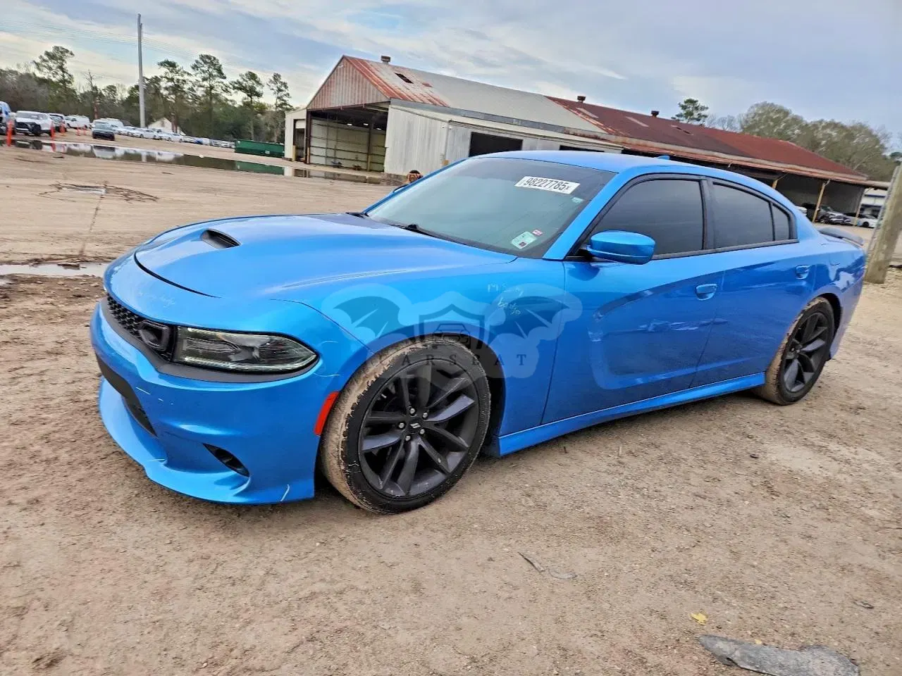 Dodge Charger SCAT PACK 6.4L 8 2019