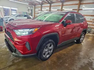 Toyota Rav4 XLE 2.5L 4 2024