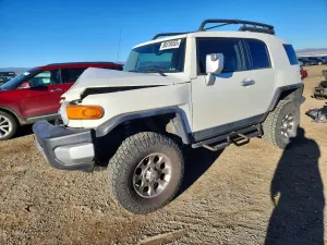 Toyota FJ Cruiser 4.0L 6 2012