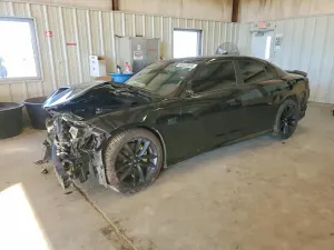Dodge Charger SCAT PACK 6.4L 8 2019