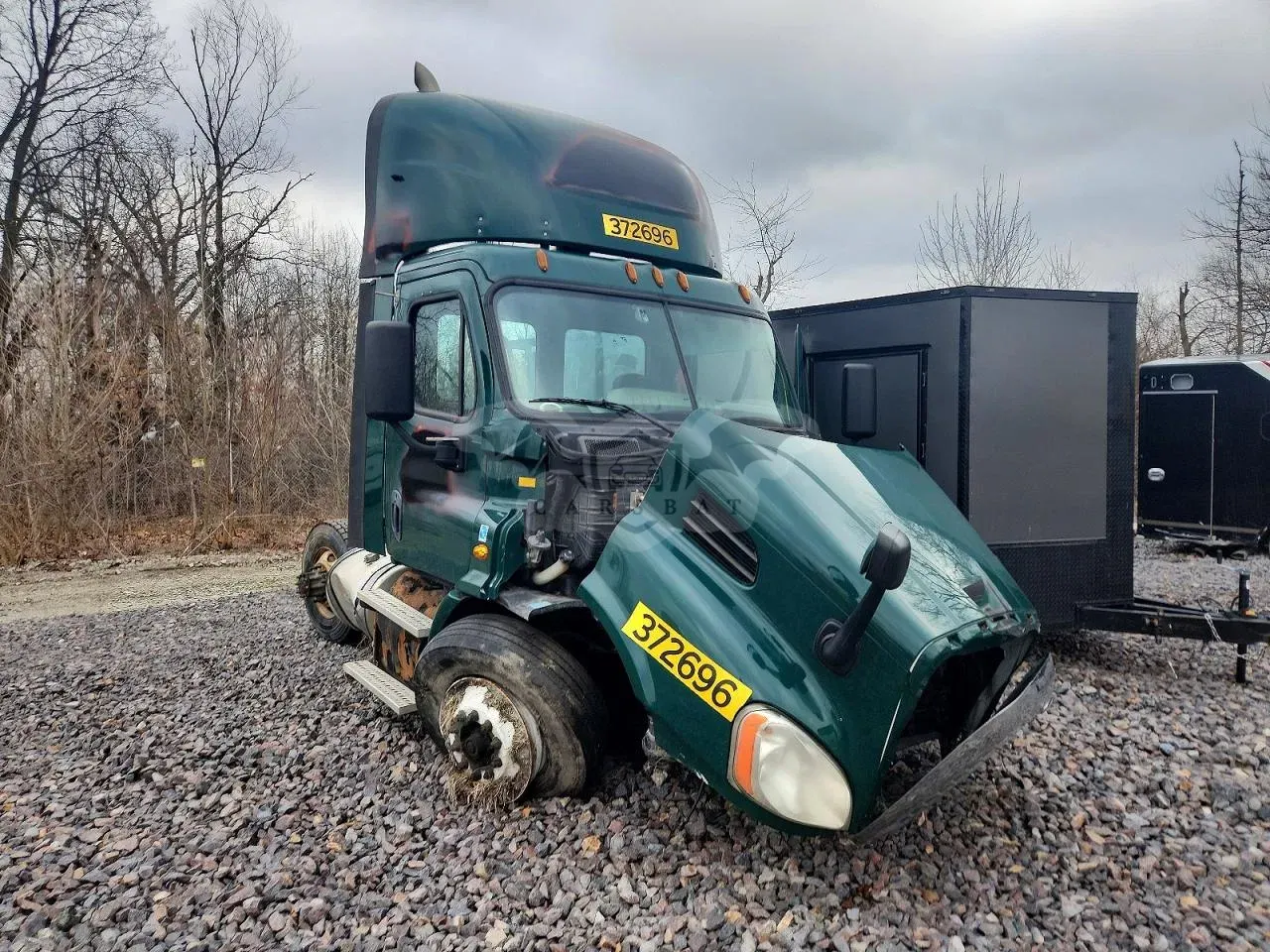 Freightliner Cascadia 12.8L 6 2018