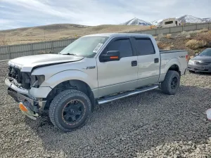 Ford F-150 5.0L 8 2013