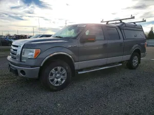 Ford F-150 SUPERCREW 5.4L 8 2010