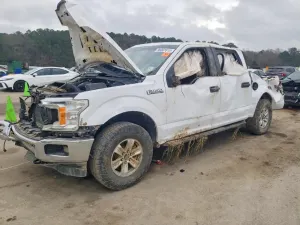 Ford F-150 5.0L 8 2019