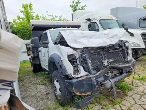 Ford F550 SUPER DUTY 6.7L 8 2019