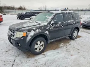 Ford Escape XLT 2.5L 4 2010